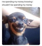 a0e7782ae30ef6f8a2ddc32a84ff51d651b2c4c5_2_456x499