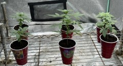 3B364FB8-2B36-49DF-AA2F-DC75E0BE1D76