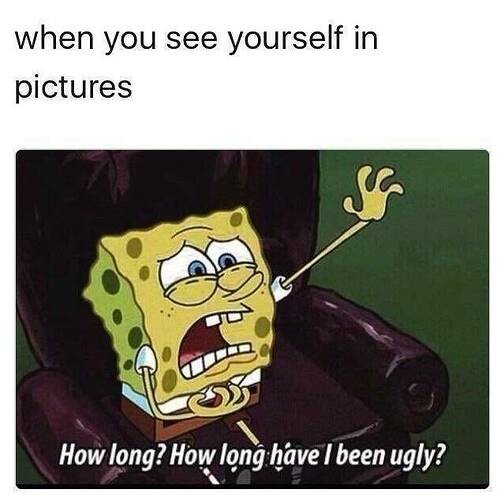 e2e9780086c261c885815d0a45526e520a207980_2_504x500