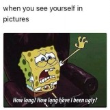 e2e9780086c261c885815d0a45526e520a207980_2_504x500