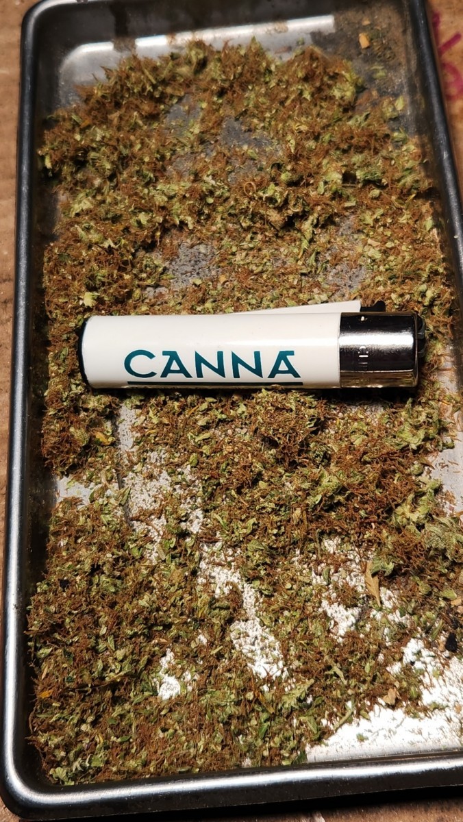 16858469646608819977695492403645