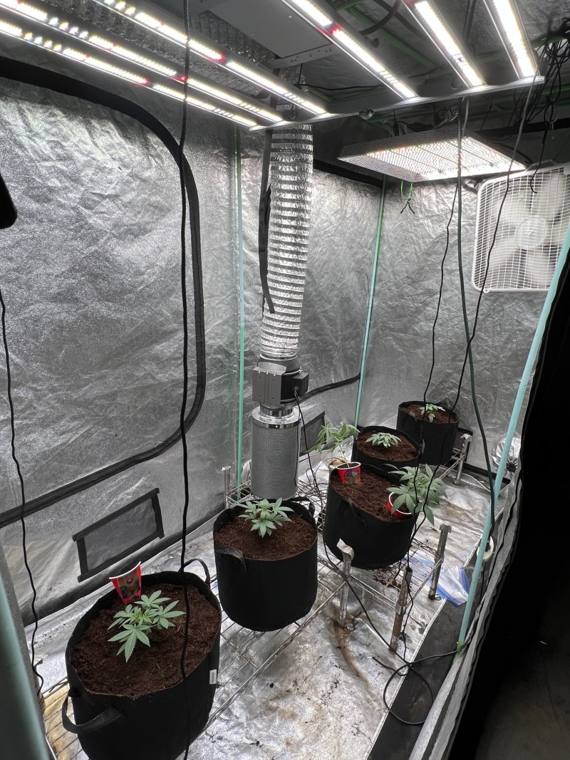 D1EE58A5-8624-4633-A25E-ECF7057B441D