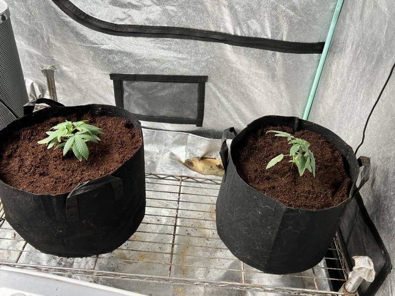 4A3ABF38-F6CC-4577-8399-4B1DCAB15734