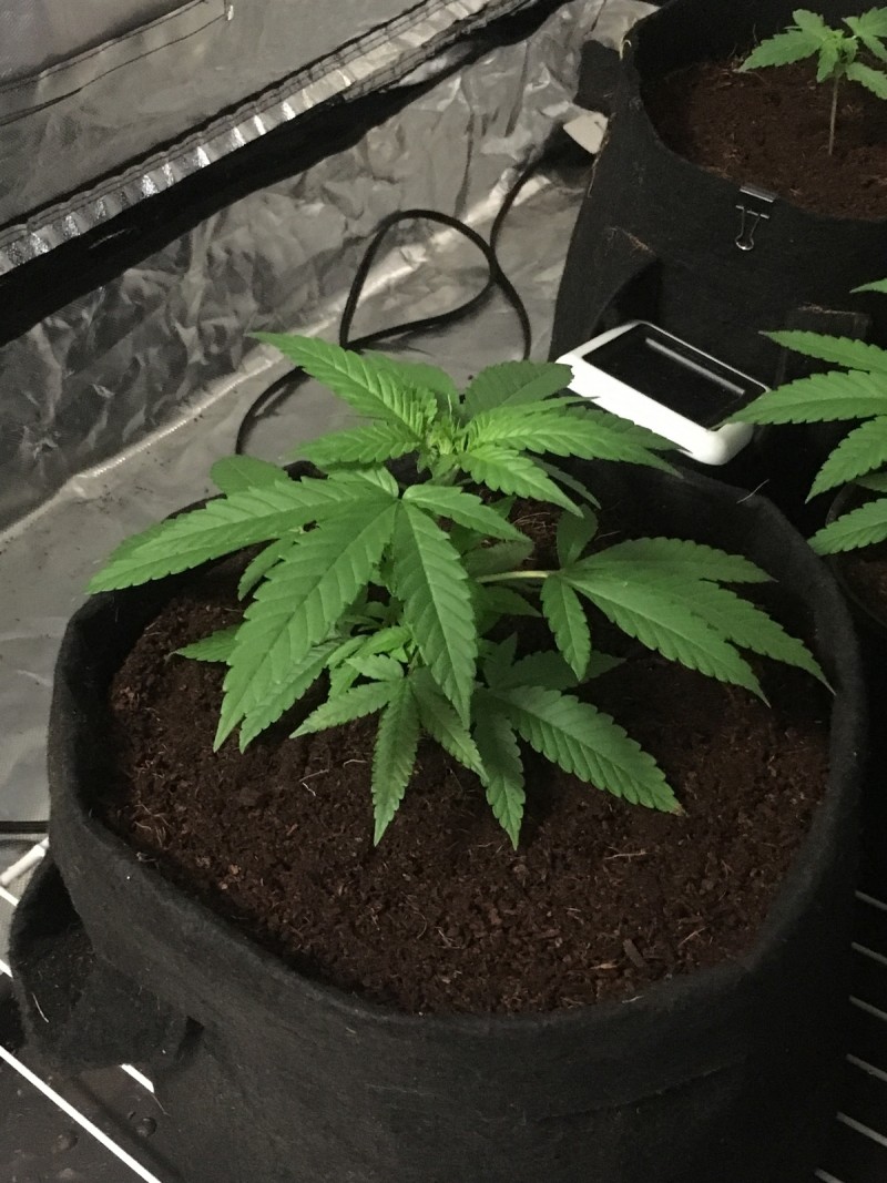 139EDEBD-5EE5-448B-8350-A6E25DBF96CE