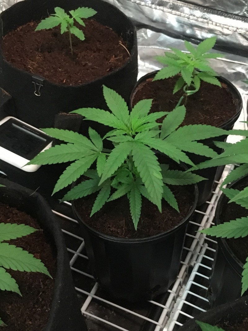 8EB599F5-7E14-42EA-B818-64FCA69CF557