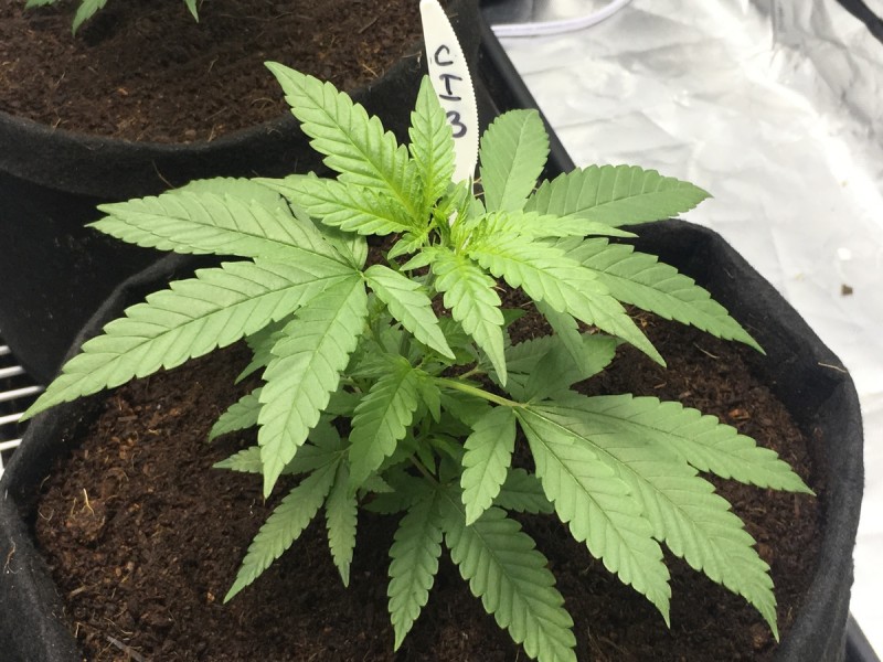 5EEA38F6-30BE-4F99-BD2C-F334CD65F351