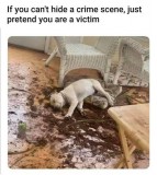 6dafc1a63201777677b49893bf778d1dcc8f38d6_2_446x500