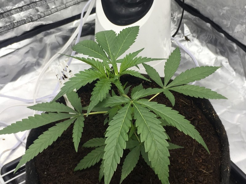 B4F1CC87-D148-4E30-981D-DB63044FB767