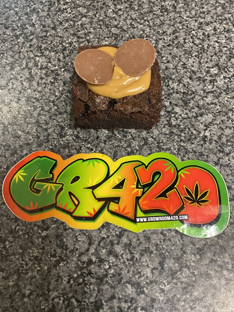 51C9203E-861A-4654-95E2-4646290D0763