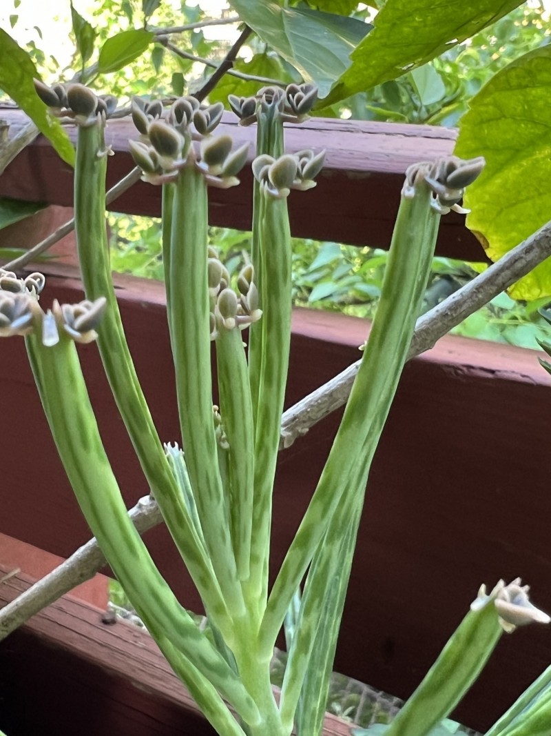 09E010FE-5E7A-4703-BF97-70EFEFCB290C