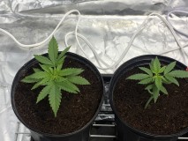 3FC9AE40-86E4-4C1F-81B0-D7551171CB76