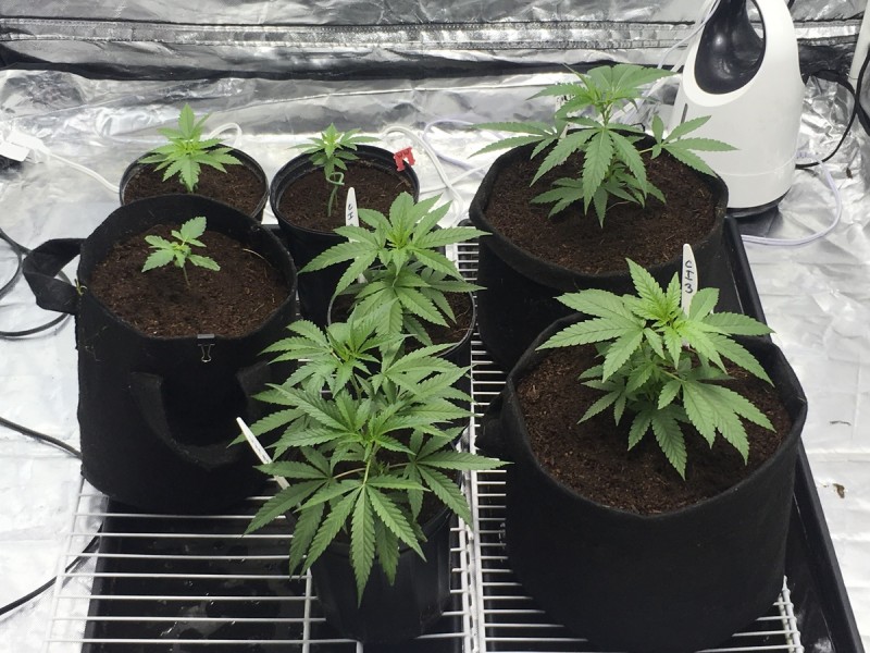 E7202D46-09C9-4C71-8C7F-CF6A5225C6C2