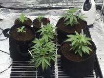 E7202D46-09C9-4C71-8C7F-CF6A5225C6C2