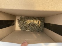 B6E057F8-2E71-49D8-95AD-429824DC9E18