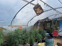 5F7BC351-5F12-47C4-BE40-3C90A8B4BC87