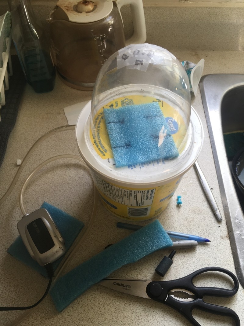 F87D8095-F676-4BEB-A15D-8686A077F89C