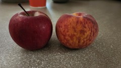 16862530185081575216266354869602