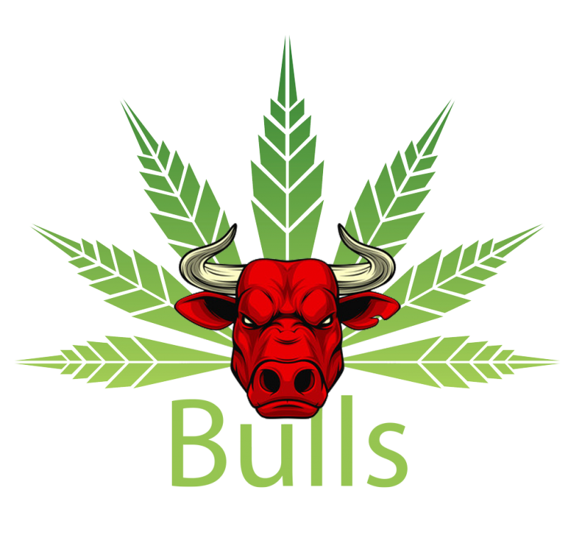 logo%20bulls%20crop_preview