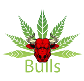 logo%20bulls%20crop_preview