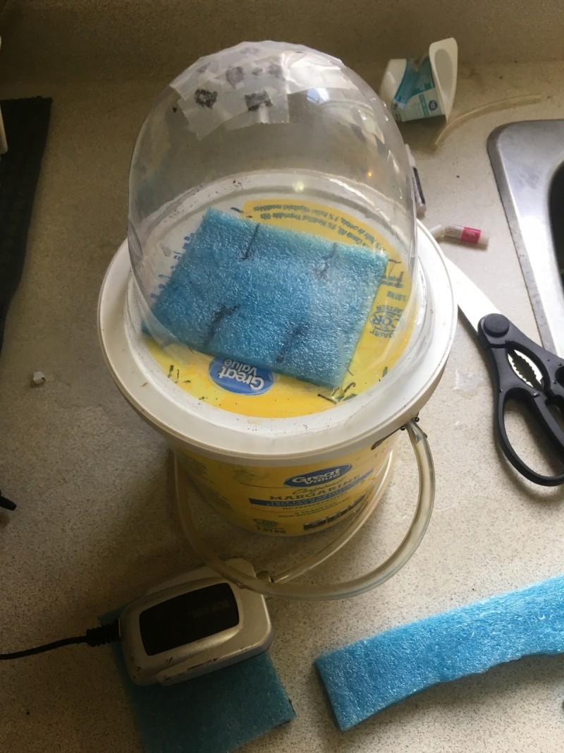 21B09C29-A37B-41ED-9A46-6EE1DEA45829