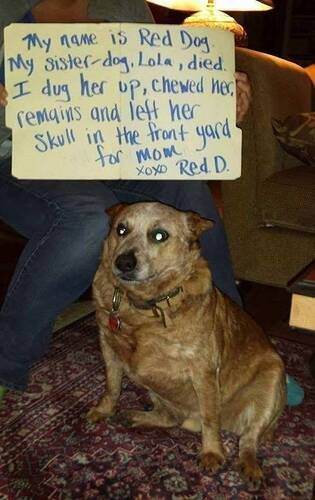 5e58bd6e3dc57f0abb0d17855de82a7e7d38edb2_2_315x500