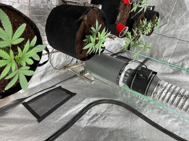 54FAFE41-5B59-4797-BC60-642E6A8368BF