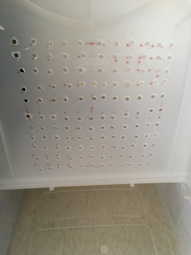 9A0BEC9D-B0BD-4591-9AED-A1D8E268082F