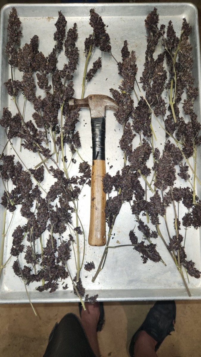 16864403568191234990425406178873