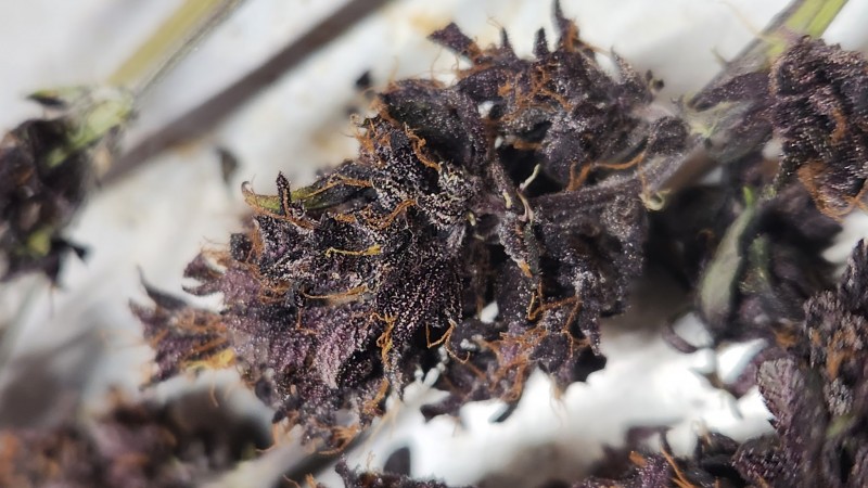 16864405415514236122365094415296