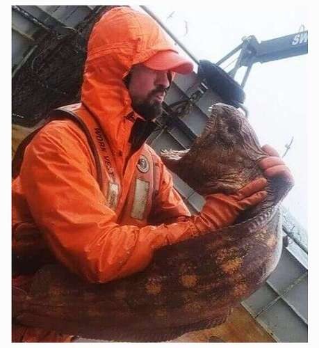 9266094a754cbab67212b98395fc0f537c2c407b_2_459x500