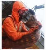 9266094a754cbab67212b98395fc0f537c2c407b_2_459x500