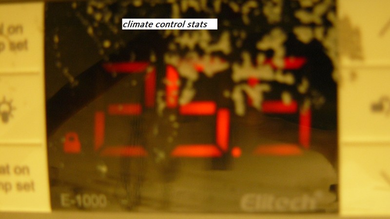 drobes cacti etc 014