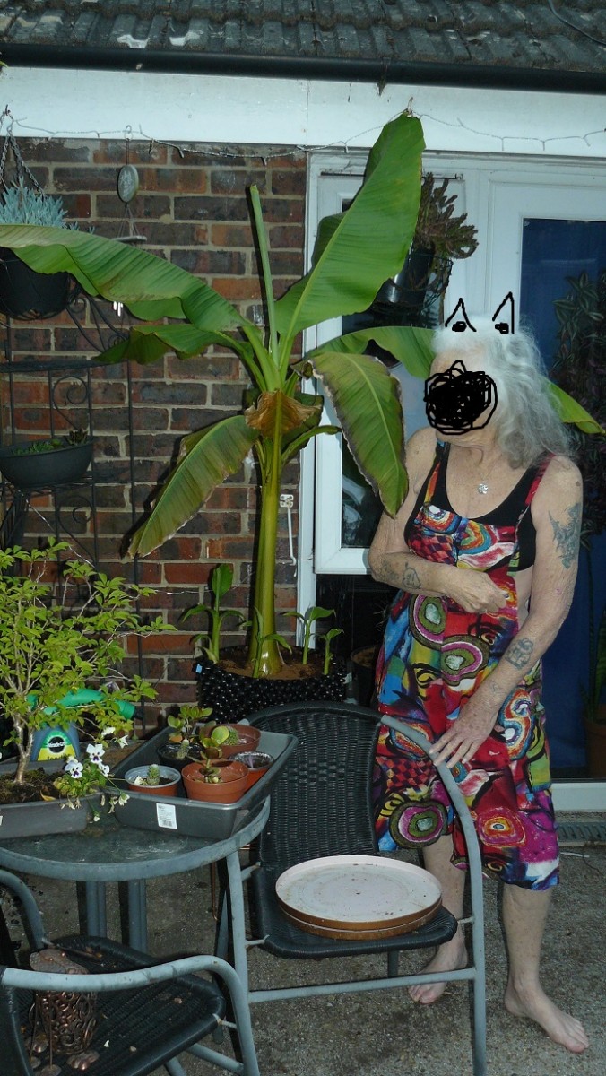 drobes cacti etc 069