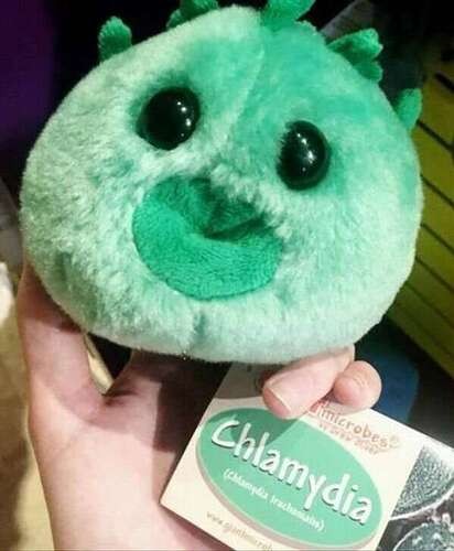 2dd128bfac0030d72aa4f8af30b572bc77f3ebba_2_412x500