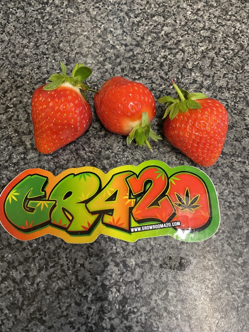 D8FCE5B7-9BBA-4684-A63F-656F47D38859