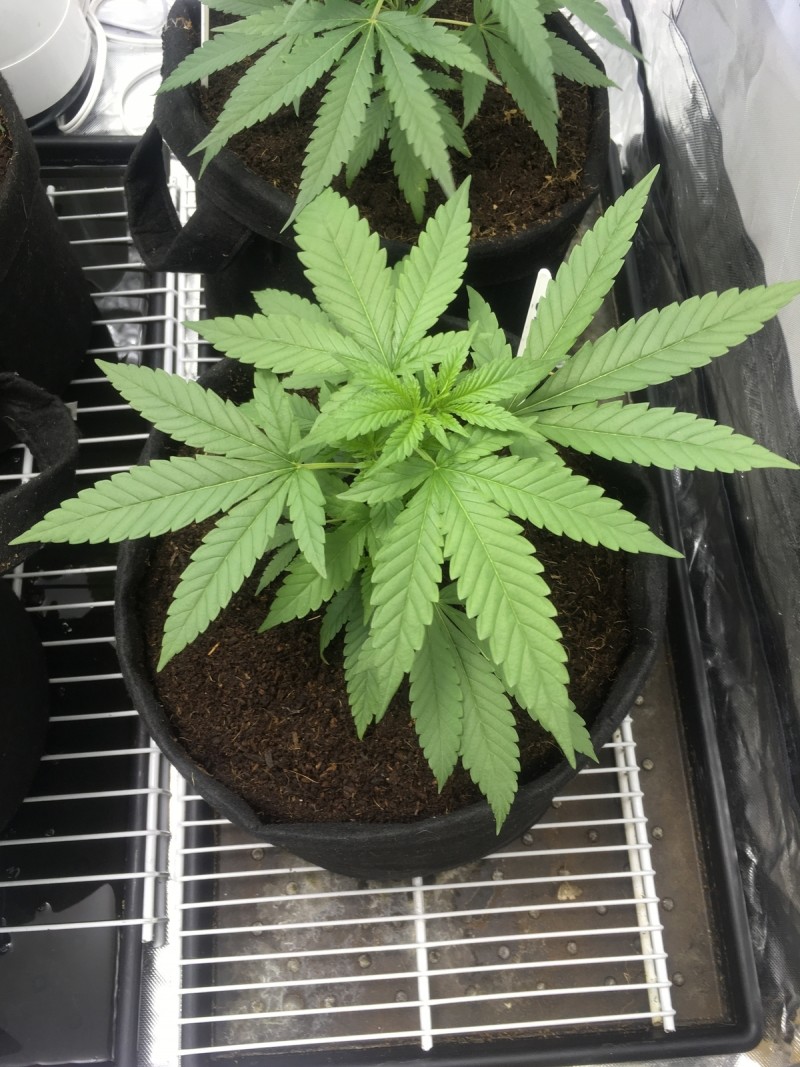 5473123E-3773-4901-B0BB-A417A398409E