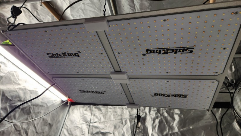 16866136808524589680147845705122