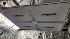 16866136808524589680147845705122