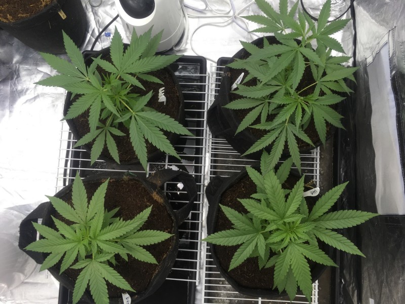 8D032F03-B22F-4F1C-889E-BE7D6407061F