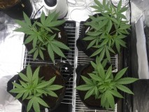 8D032F03-B22F-4F1C-889E-BE7D6407061F