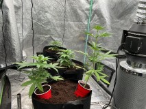 5821514D-52C6-4761-B8A0-0A3E688C957C