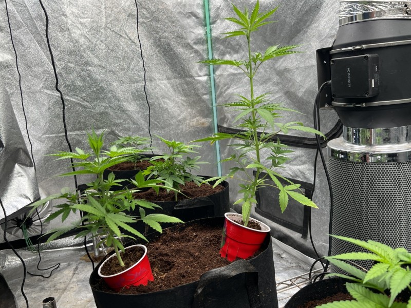 C020DBE7-5F71-49BA-AA17-16D1BB8C1B64