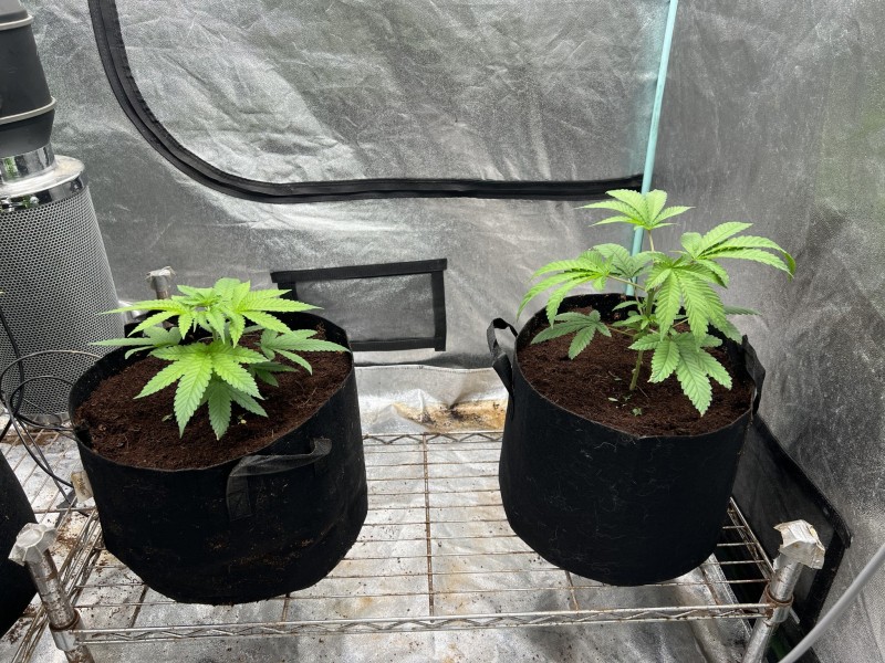 B1DB8ADD-65F2-44B1-9967-F5CBC4812EA9