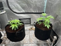 B1DB8ADD-65F2-44B1-9967-F5CBC4812EA9