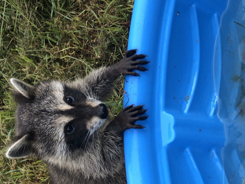 50277D92-6FD8-4EE8-B2D1-E47DF345D2EC