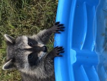 50277D92-6FD8-4EE8-B2D1-E47DF345D2EC