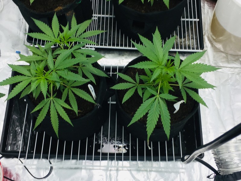 76C55E9A-61EB-470D-92B3-4268030D3FB4