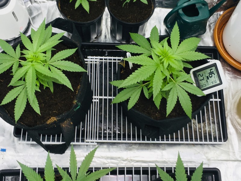 811BFE09-0504-4942-9415-A1C0E05932AA