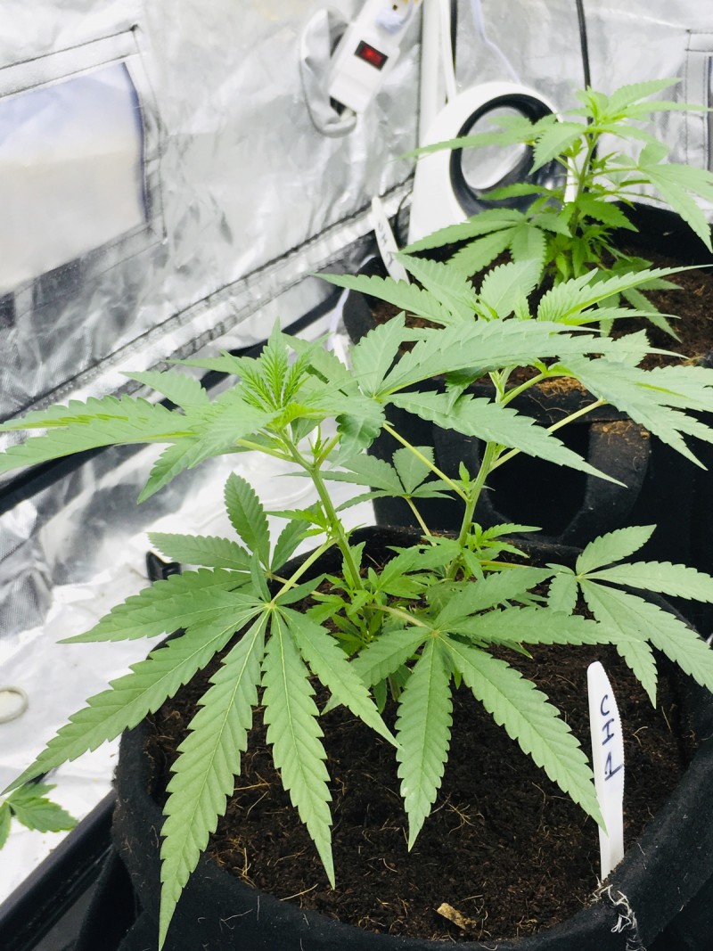 6D068FD7-CC1A-493E-BA77-3B7D5E80B13D