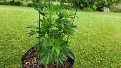 16869308254852826713491400238600